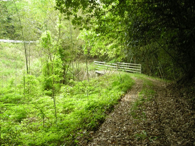 k03_20.jpg