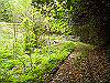 k03_20_thumb.png