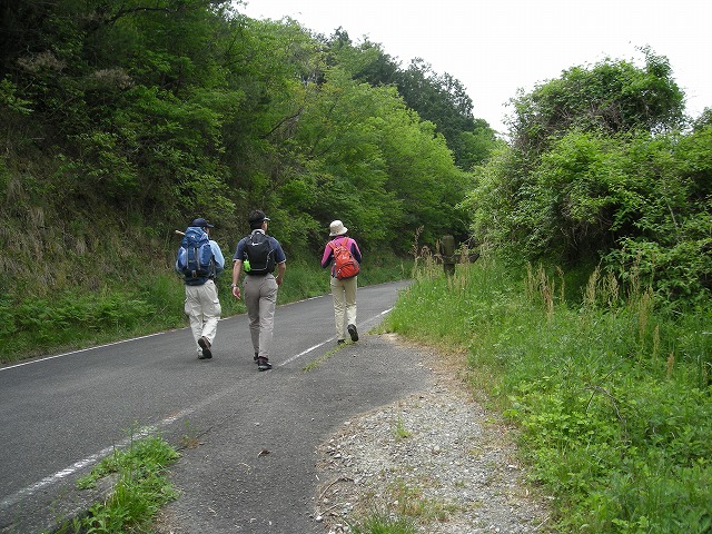 k03_21.jpg