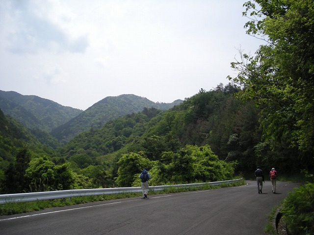 k03_29.jpg