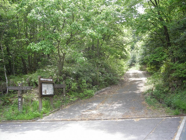 k03_31.jpg