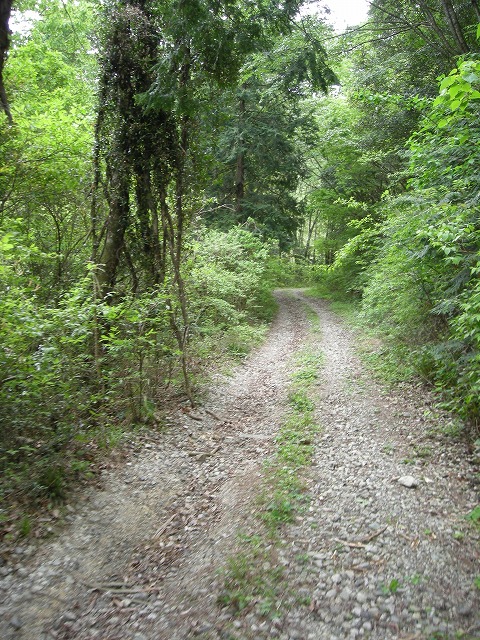 k03_34.jpg