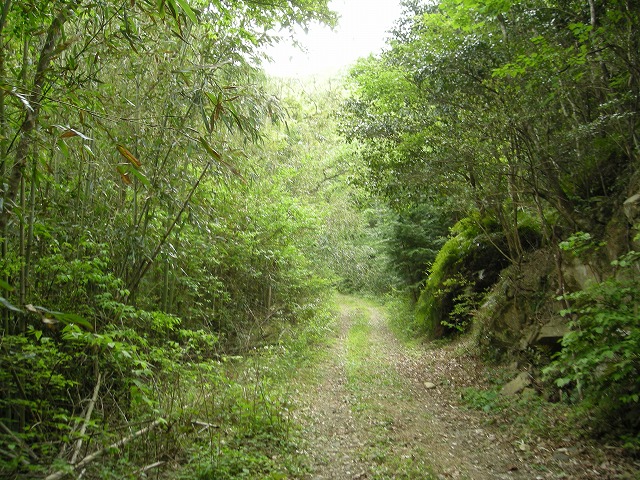k03_35.jpg