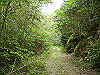 k03_35_thumb.png