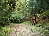 k03_37_thumb.png