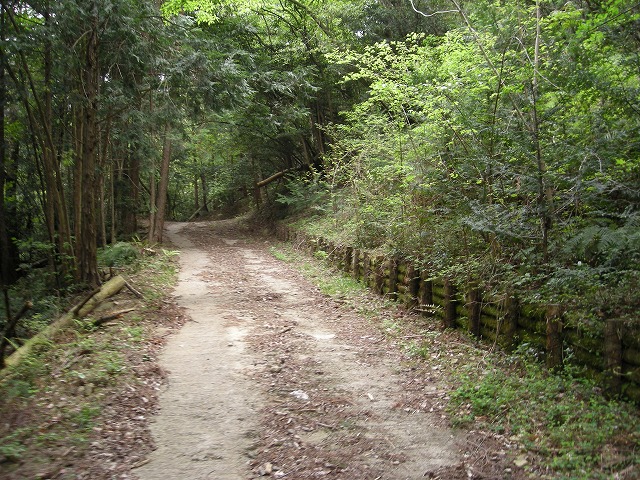k03_38.jpg