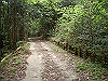 k03_38_thumb.png