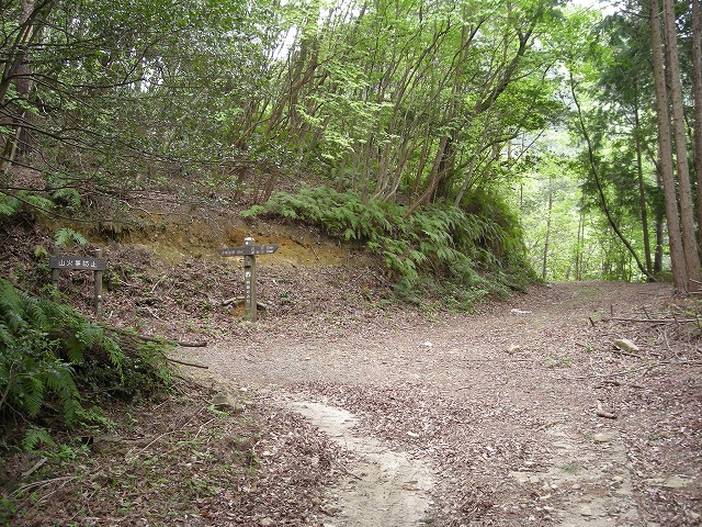 k03_39.jpg