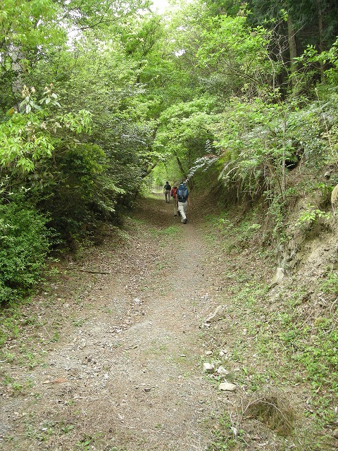 k03_41.jpg