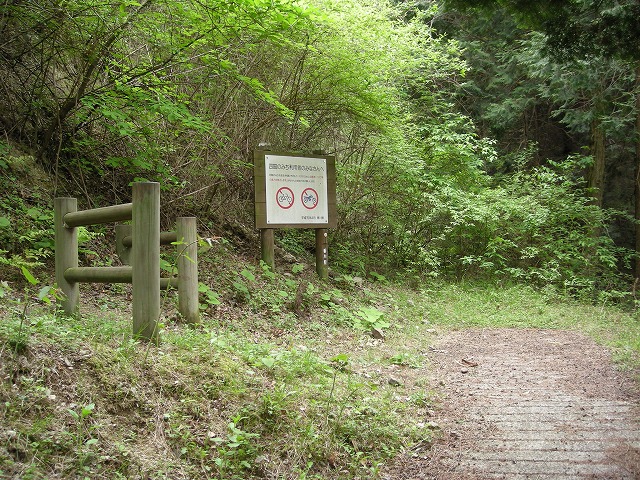 k03_43.jpg