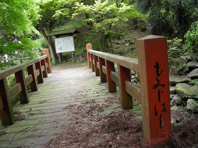 k03_46.jpg