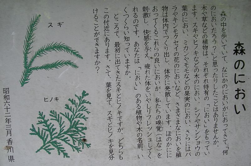 k03_48.jpg