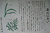 k03_48_thumb.png