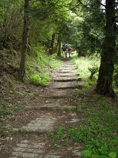 k03_49.jpg