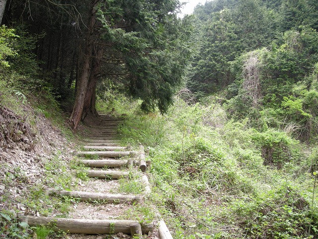 k03_51.jpg