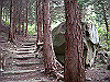 k03_53_thumb.png