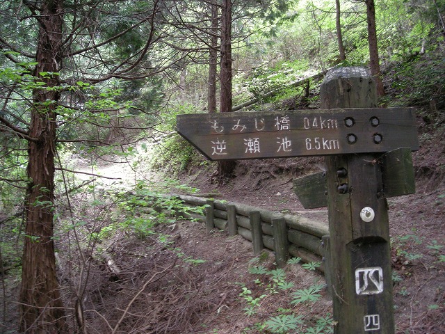 k03_54.jpg