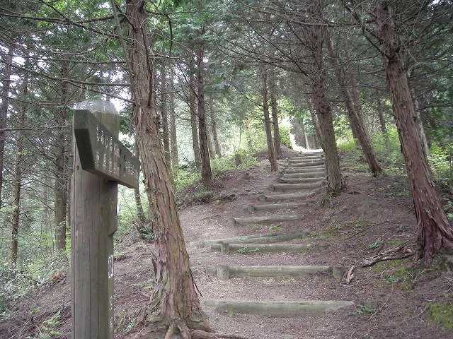 k03_55.jpg