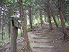 k03_55_thumb.png