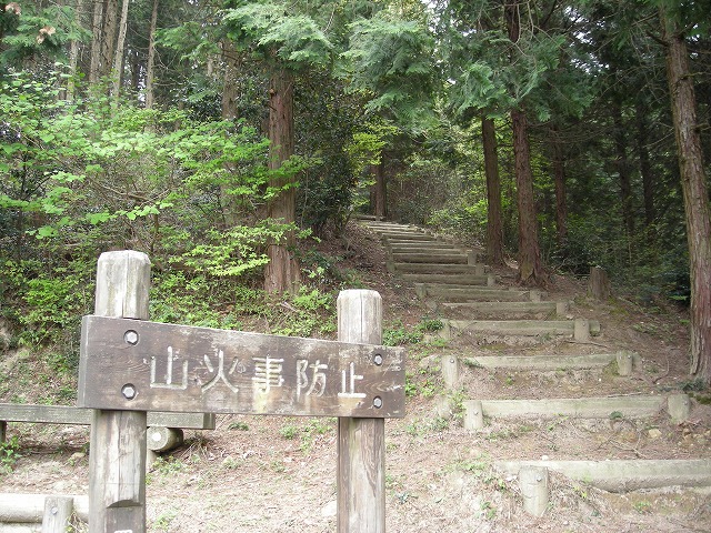 k03_56.jpg