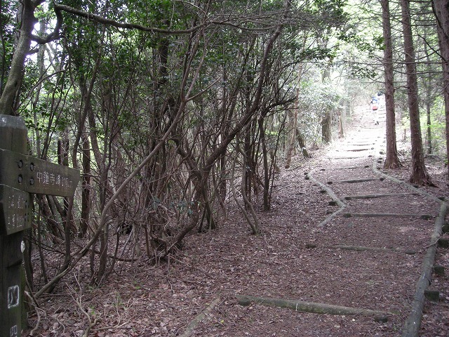 k03_58.jpg