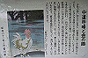 k03_62_thumb.png