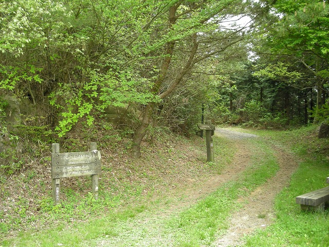 k03_63.jpg