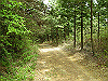 k03_64_thumb.png