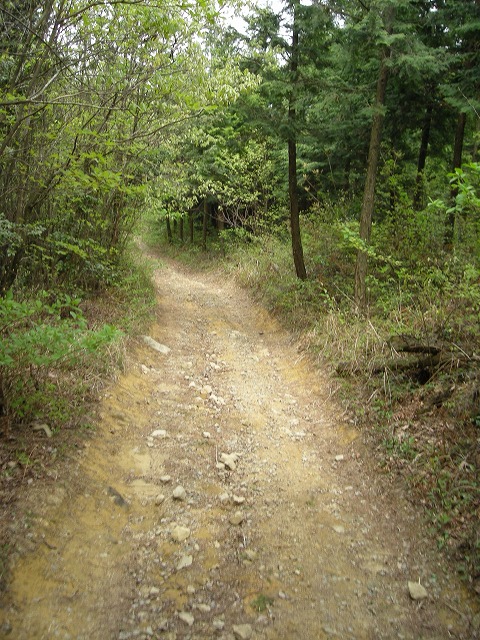 k03_66.jpg