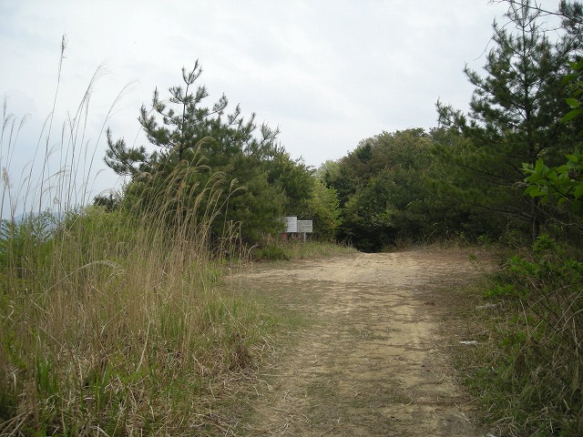 k03_67.jpg