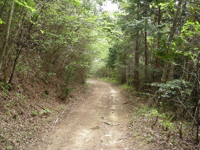 k03_68.jpg