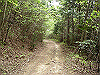k03_68_thumb.png