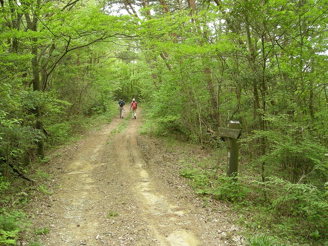 k03_69.jpg