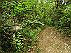 k03_71_thumb.png