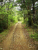 k03_72_thumb.png