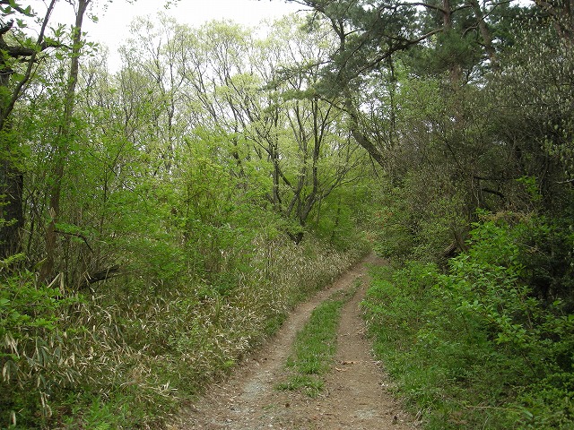 k03_73.jpg