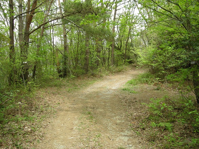 k03_74.jpg