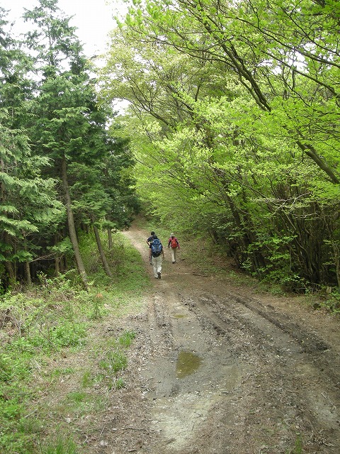 k03_75.jpg
