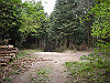 k03_76_thumb.png