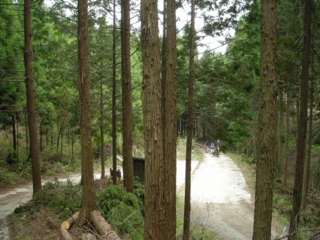 k03_78.jpg