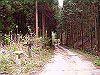 k03_80_thumb.png