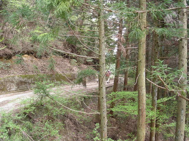 k03_81.jpg