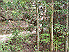 k03_81_thumb.png