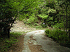 k03_82_thumb.png