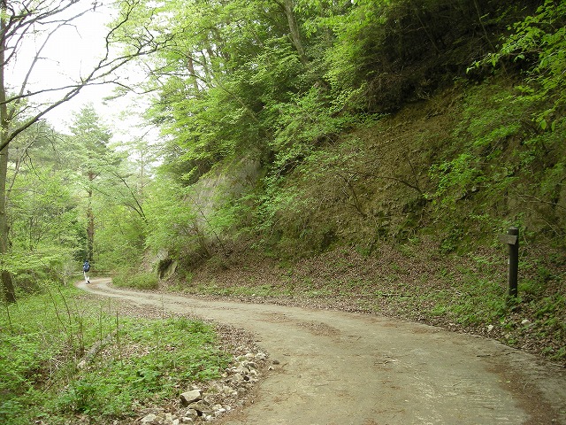 k03_84.jpg
