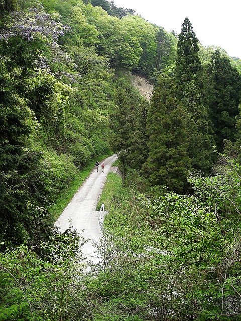 k03_86.jpg