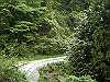 k03_87_thumb.png