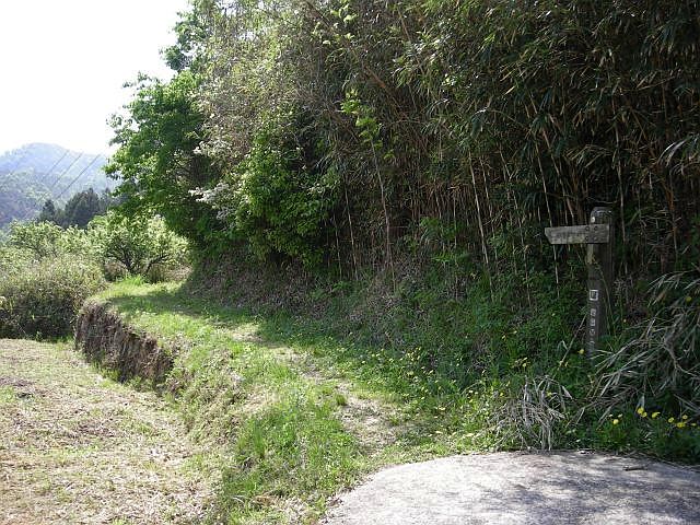 k04_009.jpg