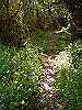k04_010_thumb.png