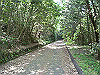 k04_014_thumb.png